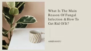 what is the main reason of fungal infection