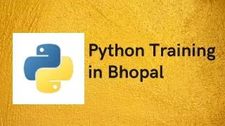p yt hon t r aining in bhopal