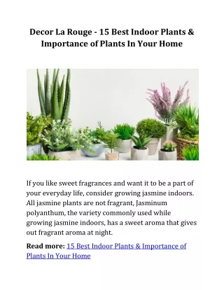 Decor La Rouge - 15 Best Indoor Plants & Importance of Plants In Your Home