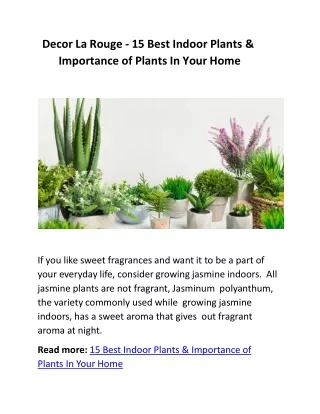 Decor La Rouge - 15 Best Indoor Plants & Importance of Plants In Your Home