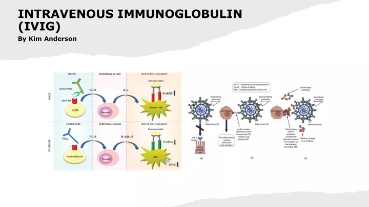 intravenous immunoglobulin ivig