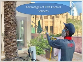 Advantages of Pest Control Services
