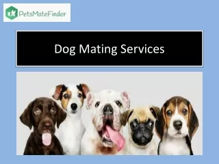 Dog Mating Services Near Me | India