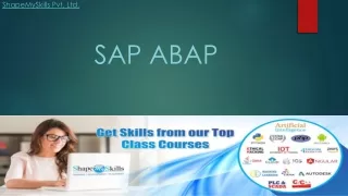 shapemyskills pvt ltd