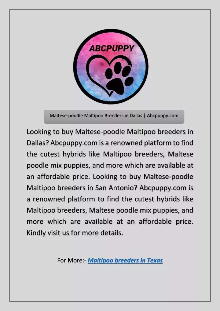 maltese poodle maltipoo breeders in dallas