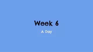 week 6