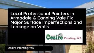 Local Professional Painters in Armadale & Canning Vale Fix Major Surface Imperfections and Leakage on Walls