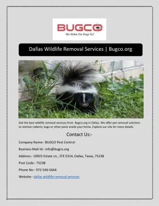 Dallas Wildlife Removal Services | Bugco.org