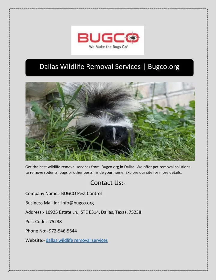 dallas wildlife removal services bugco org