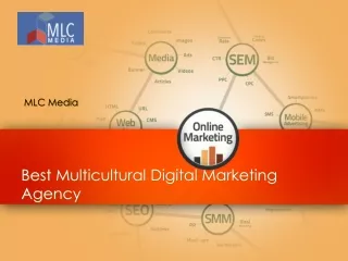 Best Multicultural Digital Marketing Agency - www.mlcmedia.net