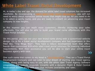 White Label Travel Portal Development