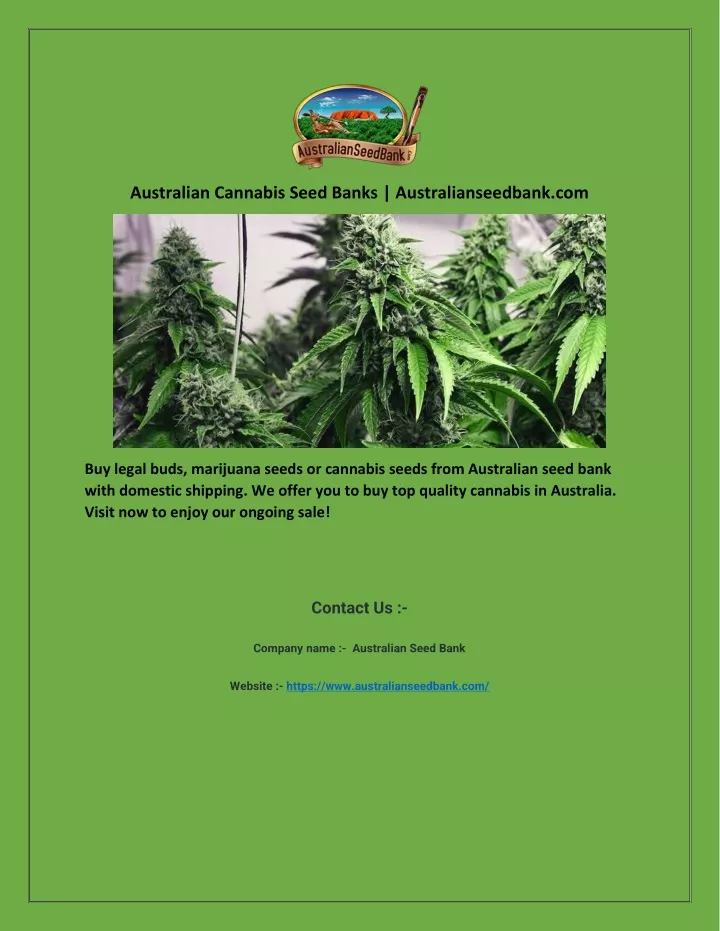 australian cannabis seed banks australianseedbank