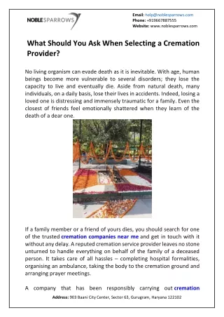 email help@noblesparrows com phone 919667887555