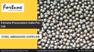 Steel Abrasives Supplier in India