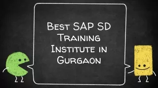 Best SAP SD Training Institute in Gurgaon