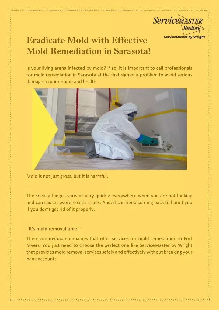 eradicate mold with effective mold remediation