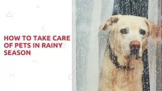 How to Take Care of Pets in Rainy Season - ppt