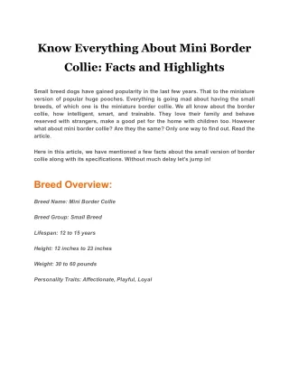 know everything about mini border