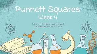punnett squares week 4