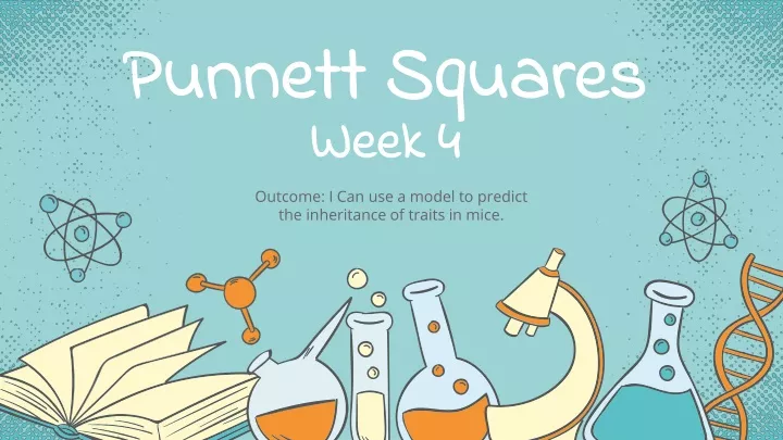 punnett squares week 4