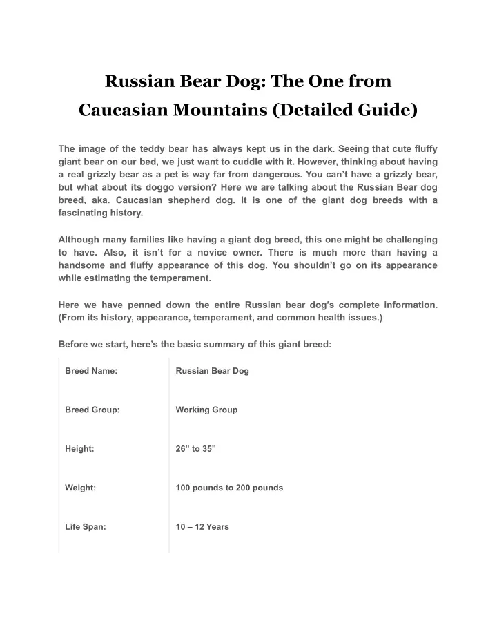 russian bear dog the one from