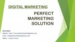 Perfect Marketing Solution - Online Reputation Management