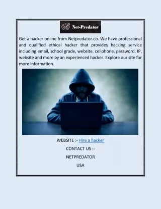 Hire a Hacker  Netpredator.co