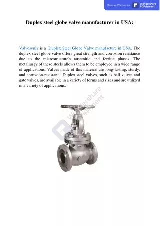 Duplex steel globe valve manufacturer in USA