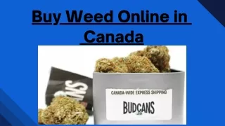 Buy Weed Online in Canada | Bud Cans
