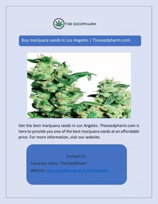 Buy marijuana seeds in Los Angeles | Theseedpharm.com