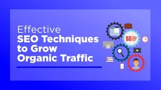 Effective SEO Techniques to Grow Organic Traffic