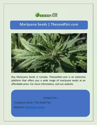 Marijuana Seeds | Theseedfair.com