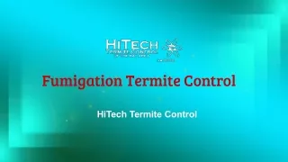 What is  Fumigation Termite Control