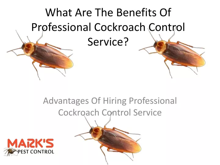 what are the benefits of professional cockroach control service