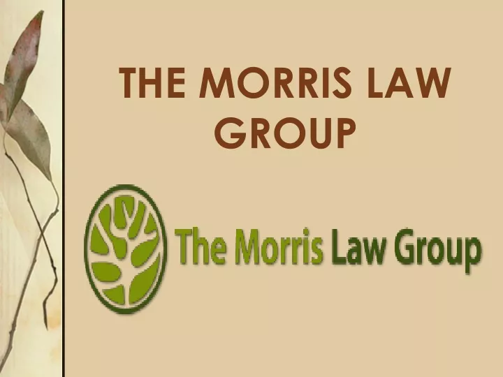 the morris law group