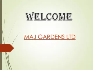 welcome
