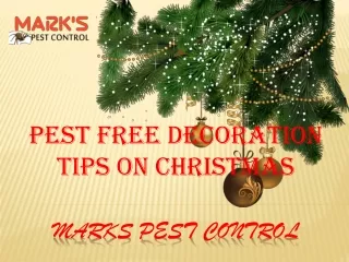 Pest Free Decoration Tips on Christmas