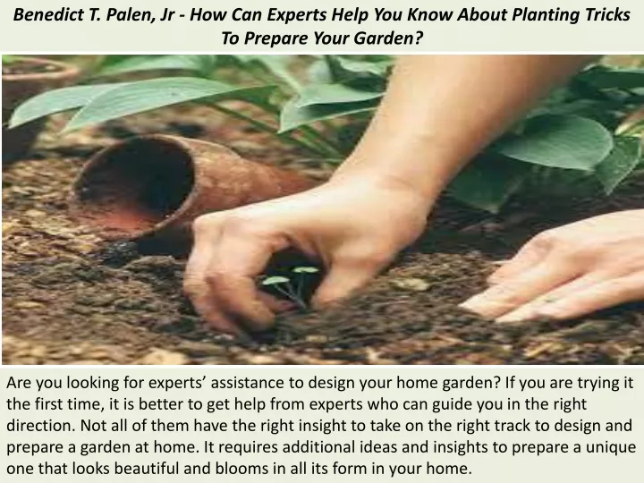 benedict t palen jr how can experts help you know about planting tricks to prepare your garden