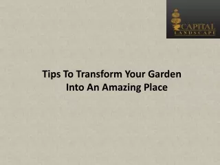 tips to transform your garden into an amazing