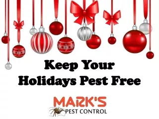 Keep Your Holidays Pest Free | Pest Control Tips | Marks Pest Control