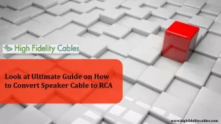 Look at Ultimate Guide on How to Convert Speaker Cable to RCA
