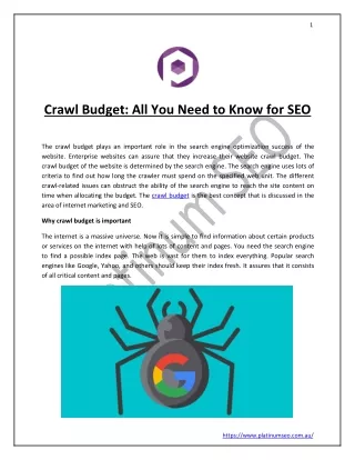 Crawl Budget All You Need to Know for SEO