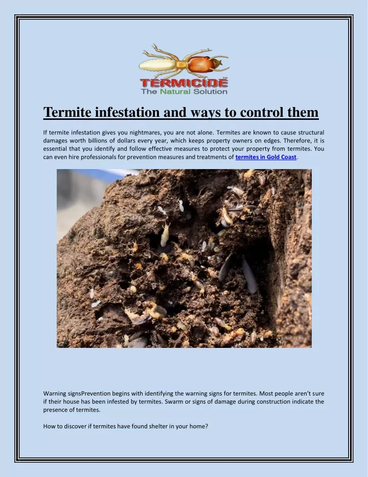 termite infestation and ways to control them