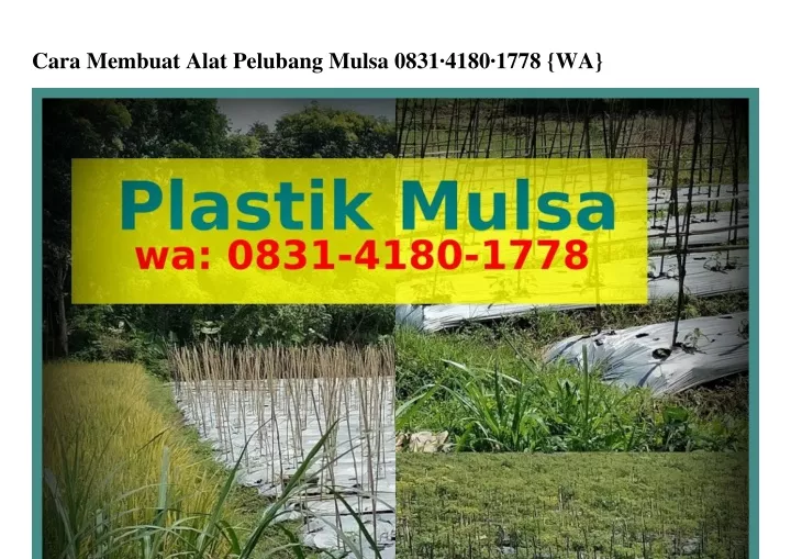 cara membuat alat pelubang mulsa 0831 4180 1778 wa