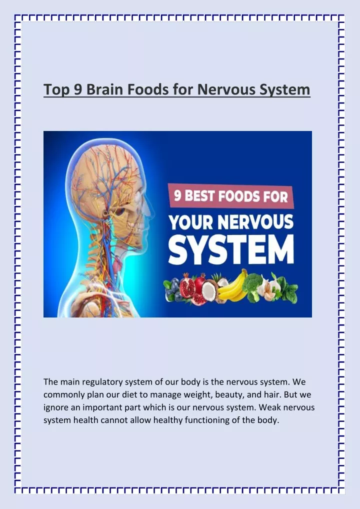 top 9 brain foods for nervous system