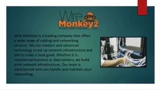 Benefits of Fiber Network Services | Wire Monkeyz