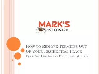 How to Remove Termites Out Of Your Residential Place