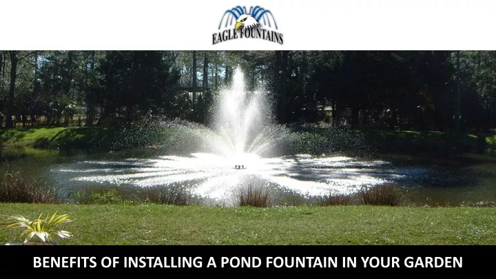 benefits of installing a pond fountain in your