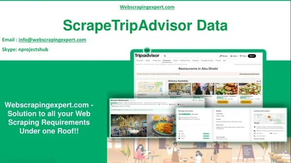 webscrapingexpert com