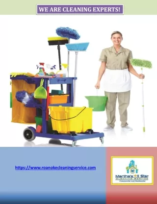 we are cleaning experts